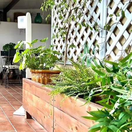 Pensión A Vista Ri Luocci